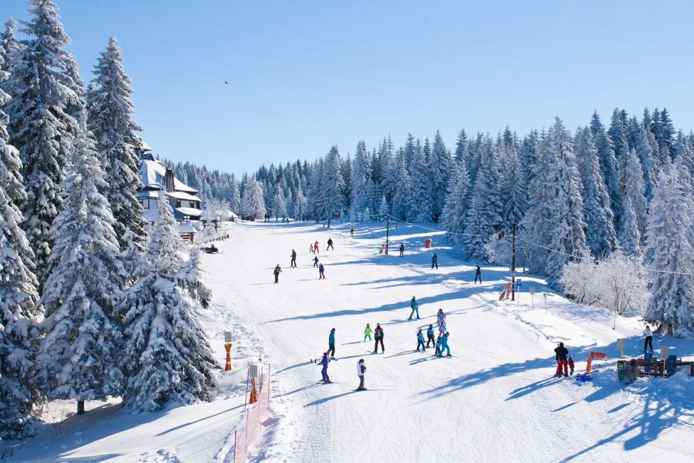 People skiing